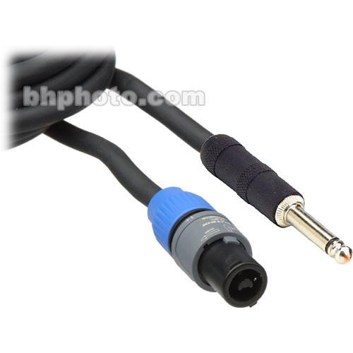 Pro Co Sound Lifelines PowerPlus 2x 1 4" Male to 4-Pin Speakon Speaker Cable