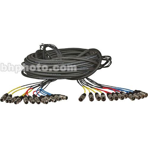 Pro Co Sound RoadMaster Series Snake 12 Channel Fanout to Fanout Cable - 25