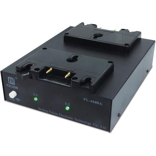 Fxlion Dual-Channel Gold-Mount and AN Battery Charger with DC Output for HD Video Camera