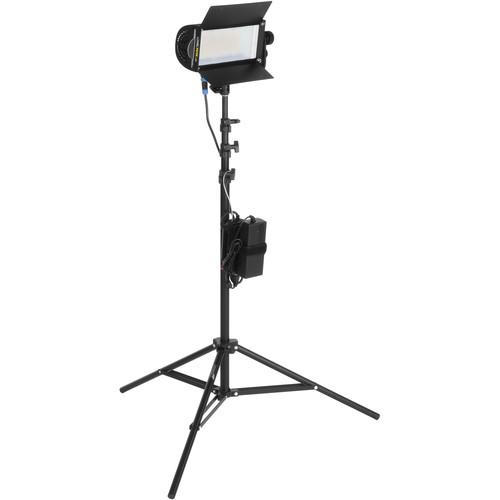 Lowel TotaLED Daylight LED 1-Light Kit