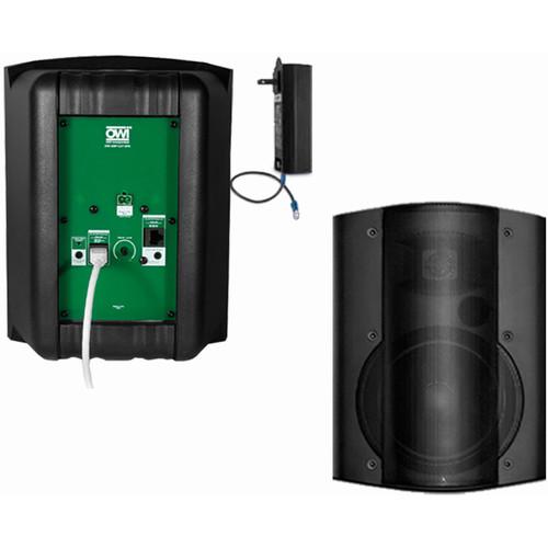 OWI Inc. 2 Each Amp-Cat602B Speaker