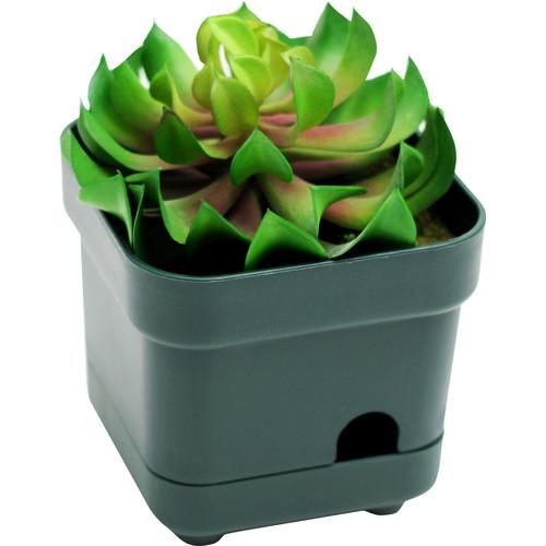 Mini Gadgets OmniEye Artificial Plant with Covert Camera