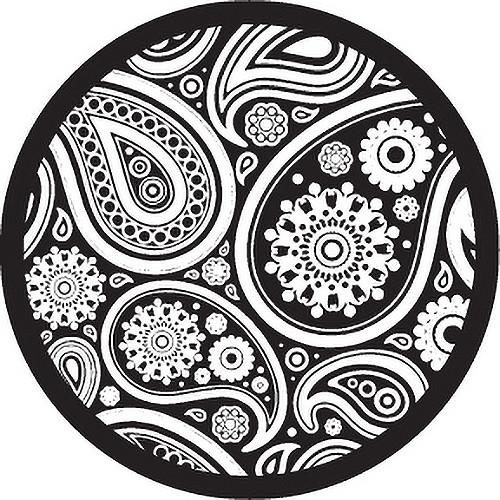 Rosco Paisley 2 B W Breakup Glass Gobo