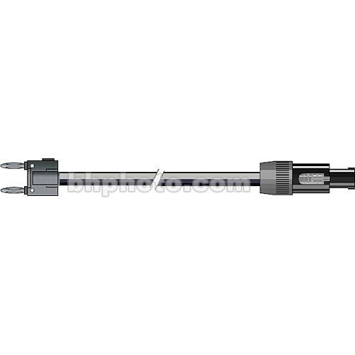 Pro Co Sound Lifelines PowerPlus 2x Banana to 4-Pin Speakon Speaker Cable - 25