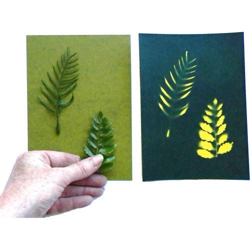 Cyanotype Store Cyanotype Paper