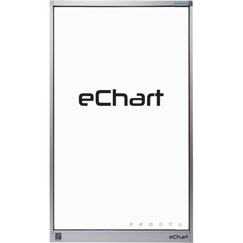 StarBoard Solution eChart Digital Flip Chart