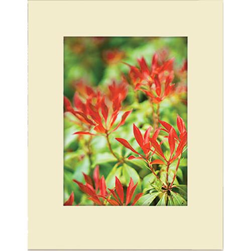 Lineco Conservation Mat Board