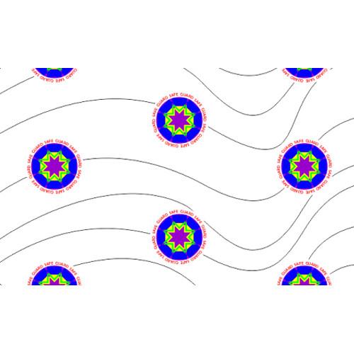IDP 670118 Holographic 1-Mil Laminate for Wise-CXD80 Printers
