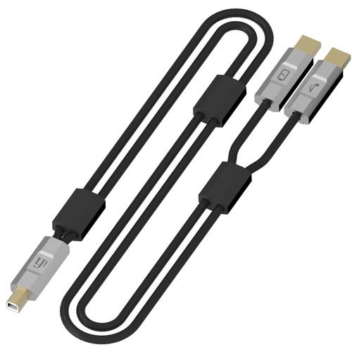 iFi AUDIO Gemini Dual-Headed USB Type-A Male to USB Type-B Male Cable