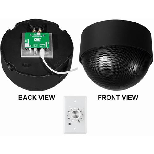 OWI Inc. 1 Each - Amp-Cat-Neptune Speaker with Ampstvc