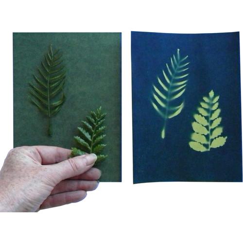 Cyanotype Store Cyanotype Paper