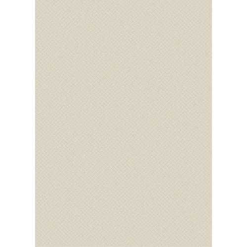 Westcott Subtle Hatched Art Canvas Backdrop with Grommets