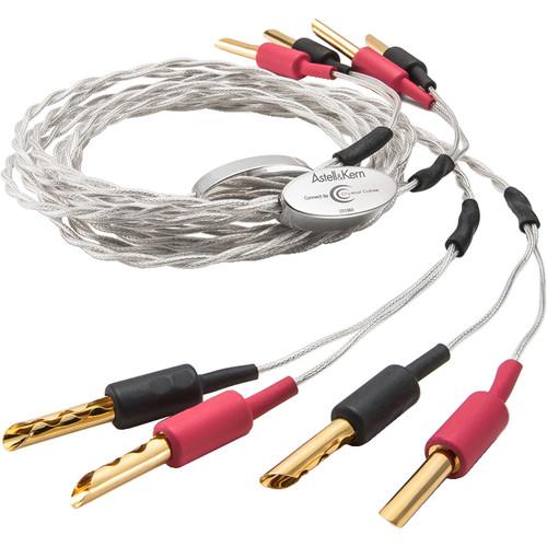 Astell&Kern Crystal Cable DEF21 Speaker Cable