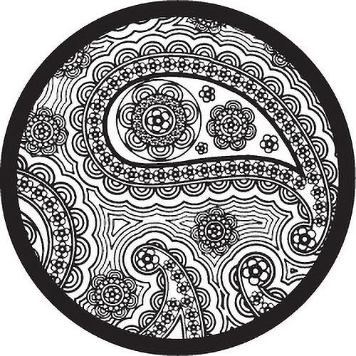 Rosco Paisley 1 B W Breakup Glass Gobo