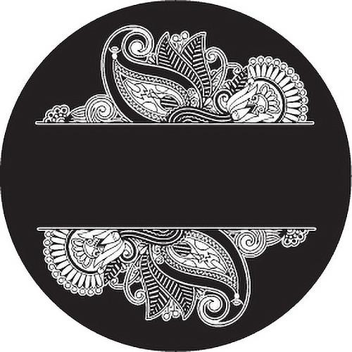 Rosco Paisley 5 B W Breakup Glass Gobo