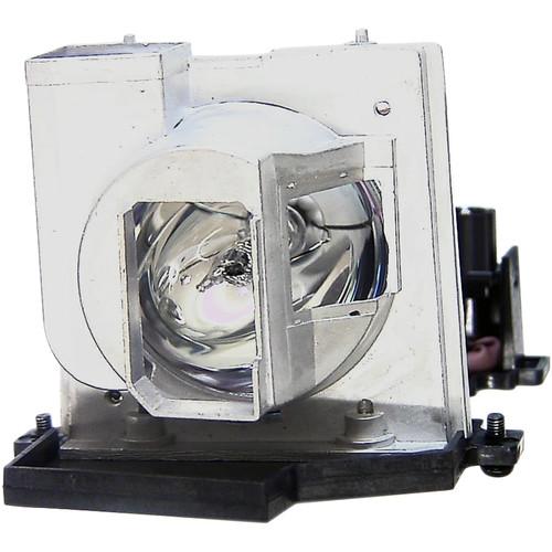 Projector Lamp EC.J4301.001