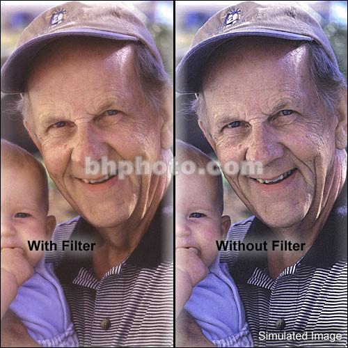 LEE Filters 4x6" Flesh Net with Clear Spot Resin Filter