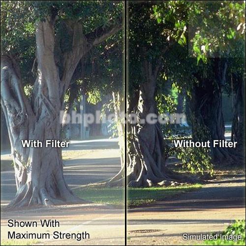 Schneider 40.5mm Low Contrast 2000 1 8 Water White Glass Filter