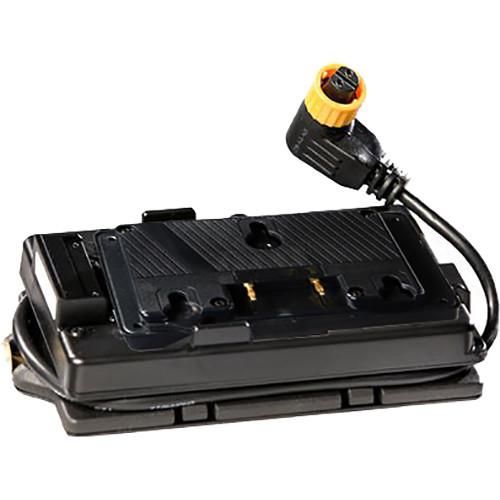 DMG Lumiere Gold Mount Battery Plate for MINI Switch