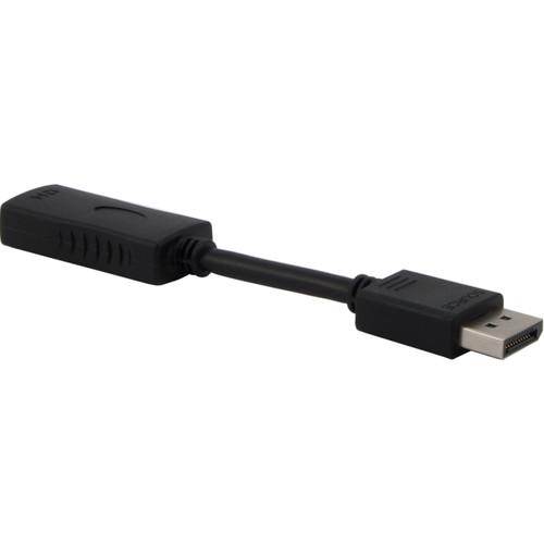 TechLogix Networx Share-Me HDMI to DisplayPort Adapter