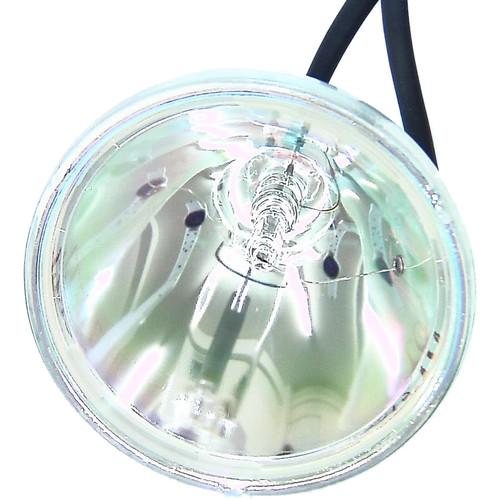 Projector Lamp RLMPF0067CEZZ