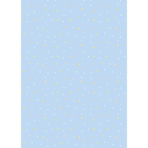 Westcott Nighttime Art Canvas Backdrop with Grommets