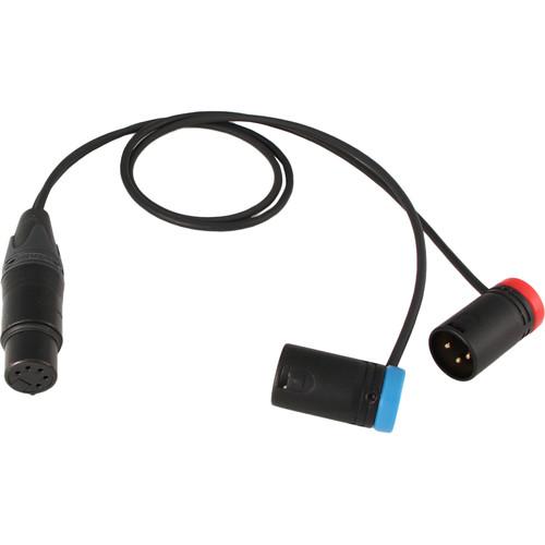 Cable Techniques Straight XLR 5-Pin Female to Low-Profile XLR 3-Pin Male Stereo Y Cable