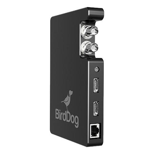 BirdDog Studio SDI HDMI to Network