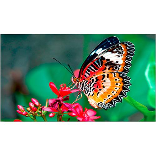 NEC UN462VA 46" Full HD Ultra-Narrow Bezel Professional-Grade Display