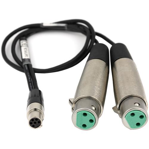 Lectrosonics Dual XLRF to TA6F Line-Level Cable for DCHT Transmitter