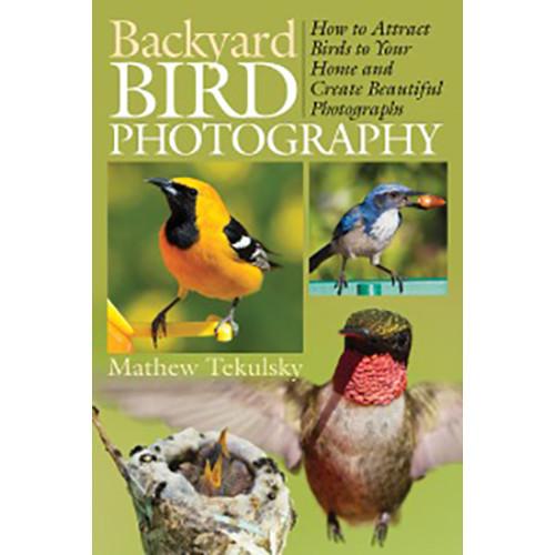 Allworth Backyard Bird Photography by Mathew