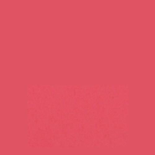 Savage Widetone Seamless Background Paper