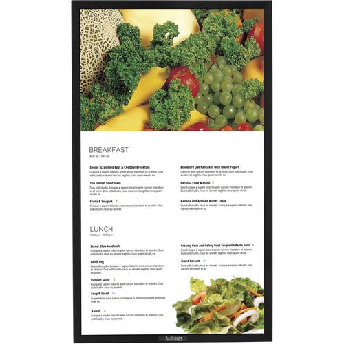 SunBriteTV DS-4917P 49" Pro Series Outdoor Digital Signage Display