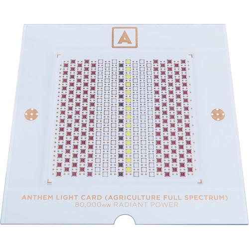 Anthem One Anthem Light Card