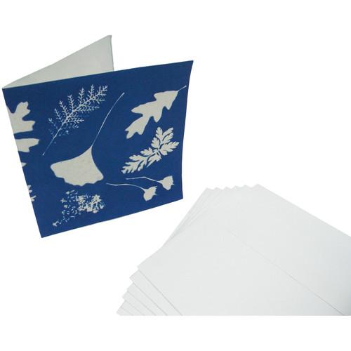 Cyanotype Store 6 x 6" Cyanotype