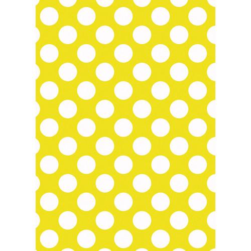 Westcott Large Dots Art Canvas Backdrop with Grommets