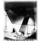 Matthews Butterfly Overhead Fabric - 8x8