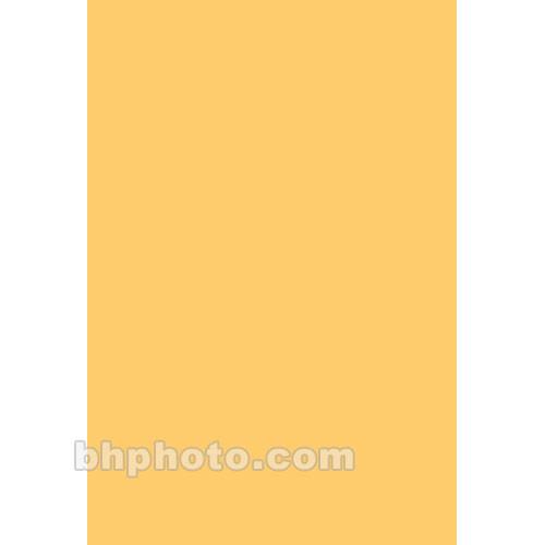 Rosco Roscolex 1 2 CTO Acrylic Panel #3751