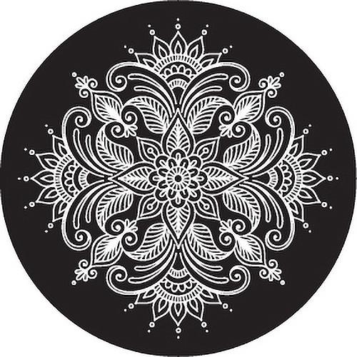 Rosco Paisley 8 B W Breakup Glass Gobo