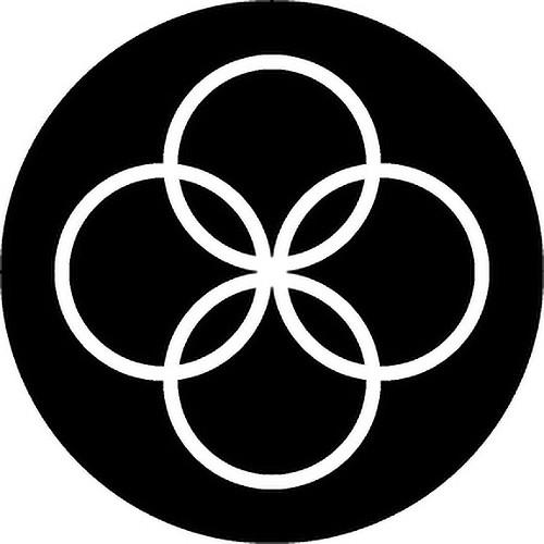 Rosco Circles 2 B W Rotating Glass Gobo