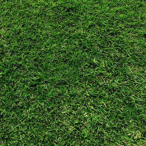 Westcott Green Grass Matte Vinyl Backdrop with Hook-and-Loop Attachment