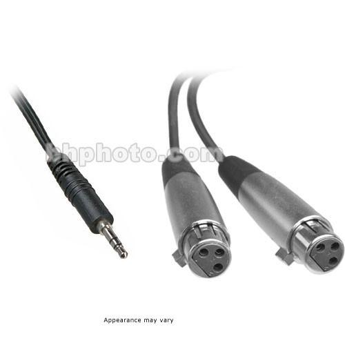 Pro Co Sound Stereo Mini to 2 XLR Female Soundcard Patch Y-Cable - 3