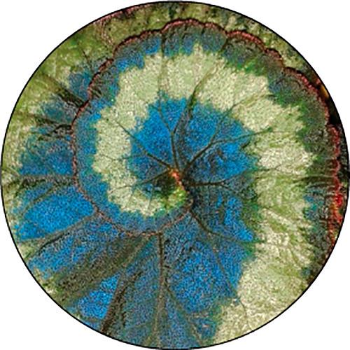 Rosco Spiral Leaf Color Breakup Glass Gobo