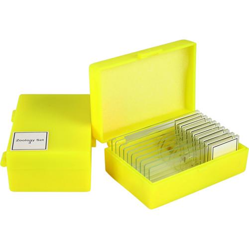 Swift MA805 Zoology 3 Slide Kit