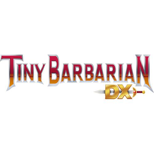 Sega Tiny Barbarian DX