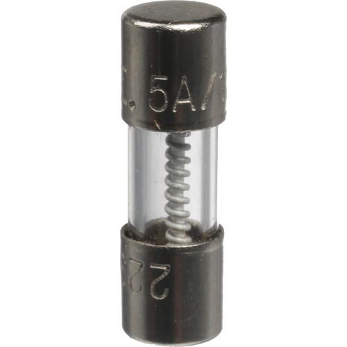 Remote Audio 2AG 5A Slow-Blo Fuses for Old BDS Unit