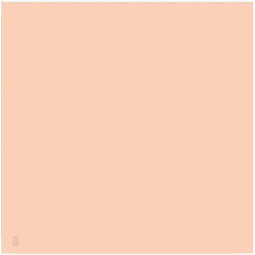 LEE Filters 806 Zircon Warm Amber 2 Filter