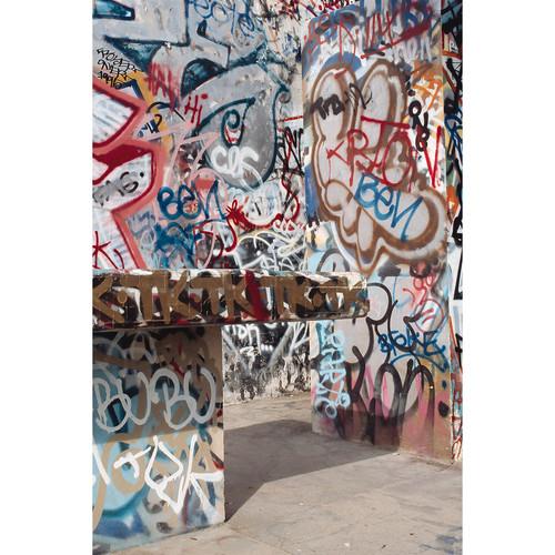 Savage Graffiti Covered Alley Printed Vinyl