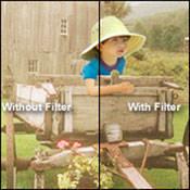 Kodak 4 x 12" Neutral Density #96 0.2 Optical Gelatin Wratten Filter