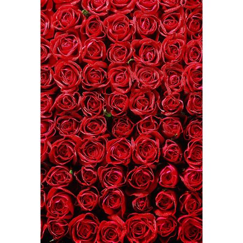 Savage Romantic Roses Printed Vinyl Backdrop